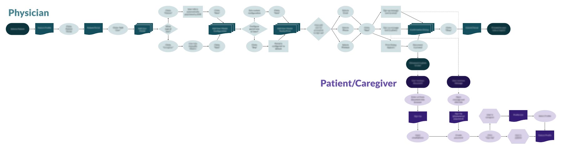 High-level flow diagram connecting physician and patient/caregiver journeys