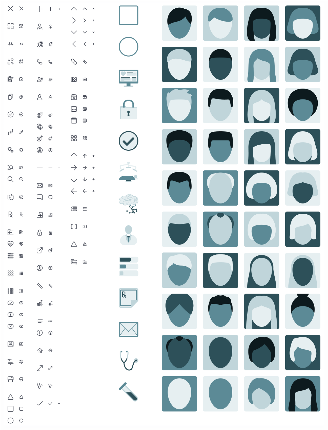 Iconography and avatar set created for the product